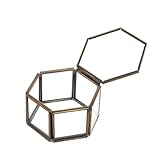 Feyarl Jewelry Trinket Glass Box Ornate Ring Earring Box Preserved Flower Glass Box Organizer Decorative Box Storage (Brass)