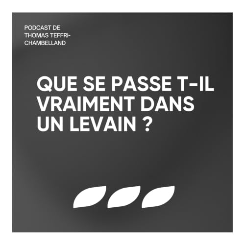 &Eacute;pisode #1 - Que se passe t-il vraiment dans le levain ?