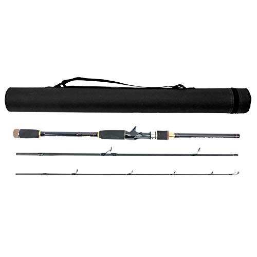 The Best Travel Fishing Rod (2023 Buyer's Guide)
