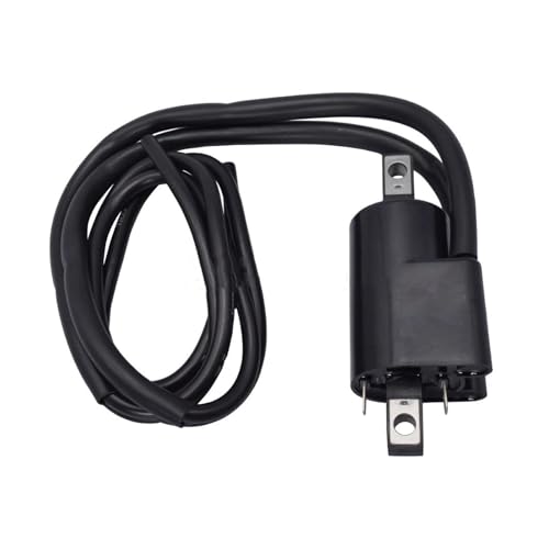 Bobina Encendido Para Ski-doo OEM Número 410911800 410913500 410915000 512059968 Bobina Encendido Motocicleta 12V CDI Externo Pack Cables Bujía