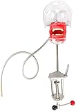 Dental Simulator Puppe Phantomkopf Kunststoff pädagogisch Dental Zähne Modell mit Bank Halterung für Bildung Fix on Table Type