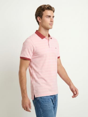 Image of Park Avenue Men Slim Fit Stripe Pattern Pure Cotton Polo Neck Half Sleeve Casual T-Shirt