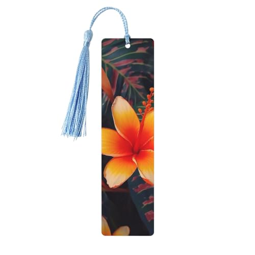 ؐ Y fB[X nhCh  [t Be[W ؐ ubN}[N nC gsJ t[ ؐ nMO^O Ǐy[W}[J[ {D