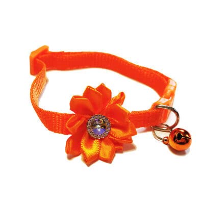 Litvibes Cat Collar Breakaway with Bell,Kitten & Small Dogs Soft Adjustable Collar Safe,Solid & Protection for Cats & Puppies,Cute Kitty Neckband with Flower Design - Orange (B0BNJC9MD2) Amazon Price History, Amazon Price Tracker