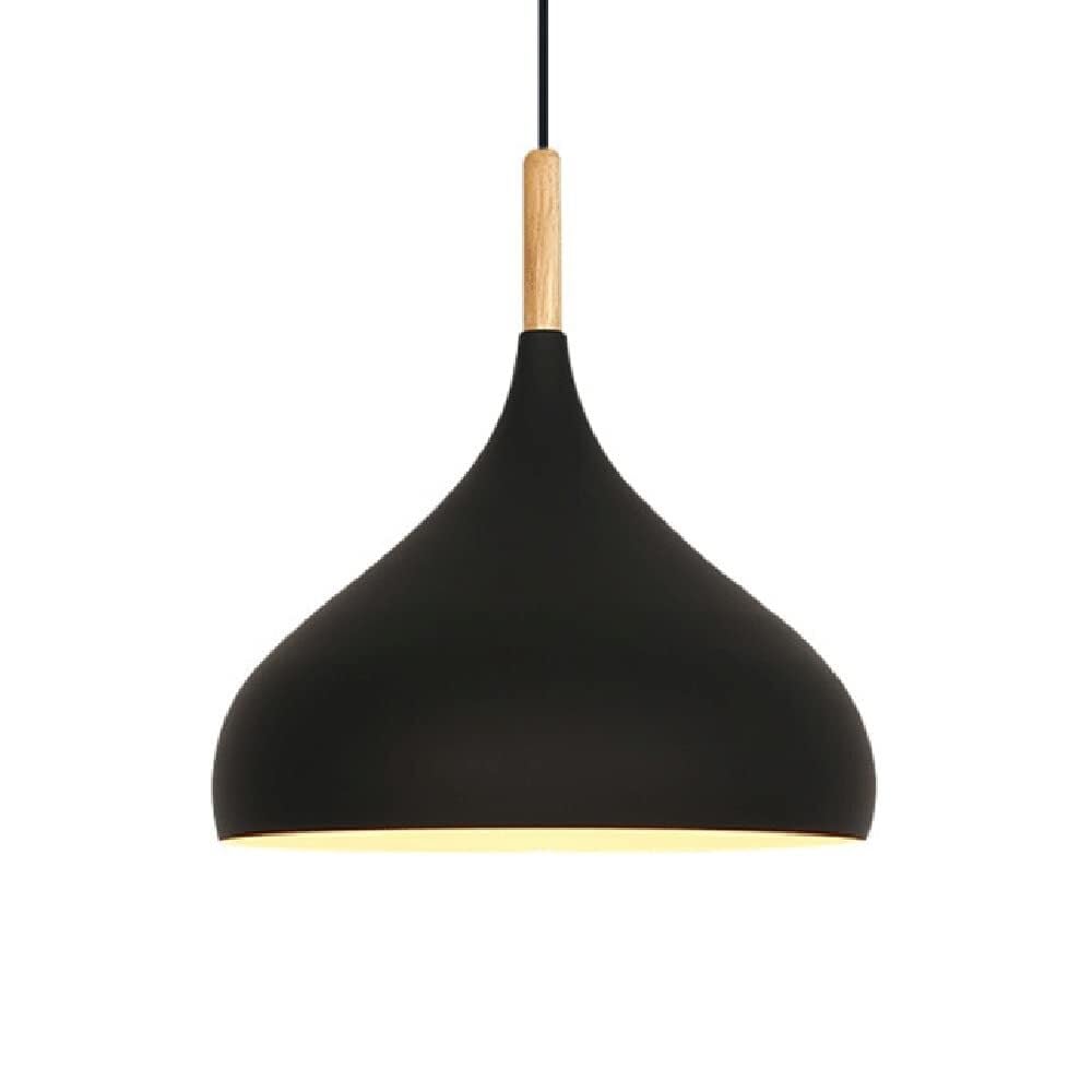 KXEcoLife Creative Bohemian Hanging Lights Led Single Head Hollow Pendant Lamp Household European Ceiling for Kitchen Island Dining Room Bedroom Hallway(Black,16.5in*16.5in)