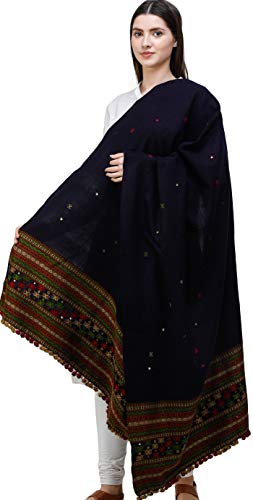 Shawl from Kutch with Embroidered Border and Mirrors (Navy Blue)2