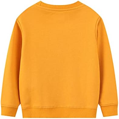 Unisex Kids Girls Boys Cotton Unicorn Truck Dinosaur Cartoon Spring Autumn Crew-Neck Sweatshirts Pullover Tops Shirts 5 31idYWc7b0L. AC
