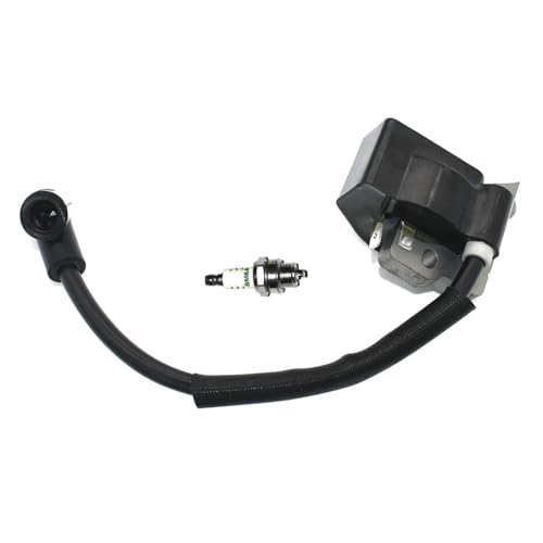 Module de bobine d'allumage haute tension durable référence 369143010 - 3