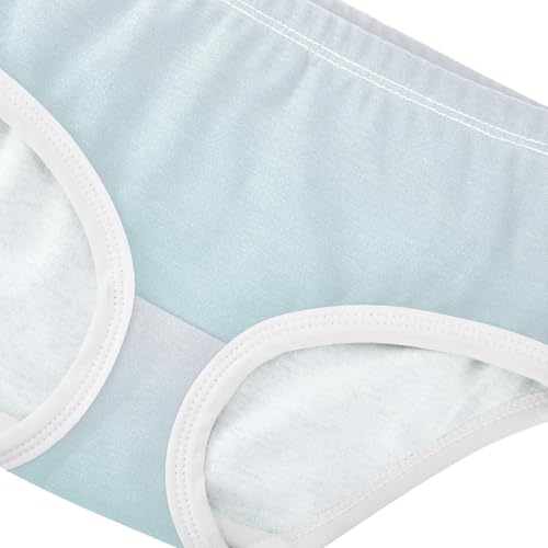 Joisal Artistic Girls Underwear Toddlers 2t Cotton Cute Panties Girl Magnolia Powder Blue Gradient Undies Kids Briefs4