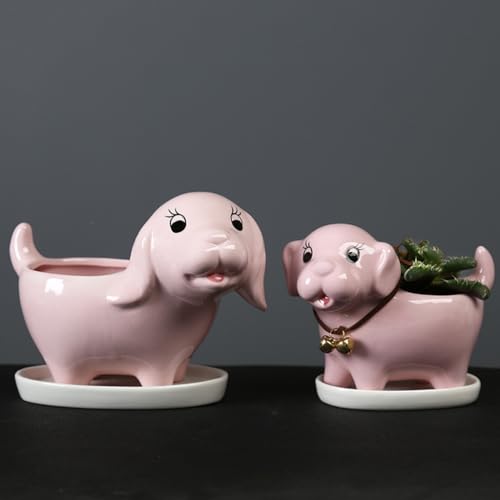 Pot de fleurs succulents pour chiot idéal sur le balcon