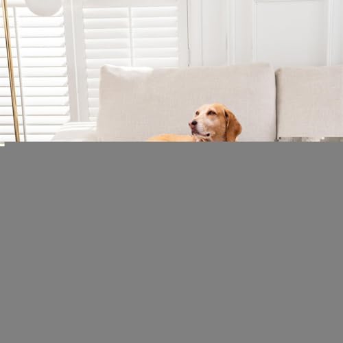 Dlwk ̃xbh^^L̂ߑ̃ybgxbhA~߃\t@veN^[Jo[\tghybgNbVhbOÃpbhAL}bgi75 x 75 cmAuEj