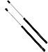 2 Pack Front Hood Lift Supports Struts Shocks Spring Dampers For Ford Explorer 1996-2001, Mercury Mountaineer 1997-2001 Hood 4026,SG404015,F67Z16C826AA
