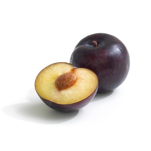 Fruit Plum Live Plant, 1 Plant (Black Amber plums) (B0D84FRM86) Amazon Price History, Amazon Price Tracker