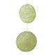 Relaxdays Capiz Girlande 4er Set, für Fenster, Balkon, Tür, Muschelplättchen Vorhang, Dekoketten 180 cm, Stern, hellgrün