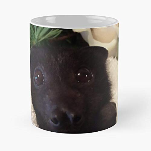 Baby Bat Art Work Bats Fruit Halloween Goth Cute Fox Flying Wildlife Animals Australian Emo Best 11 Ounce Ceramic Coffee Mug