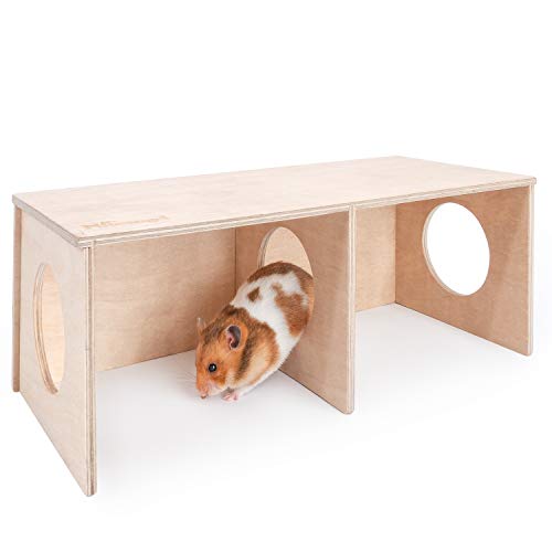 Top 10 Best Tubes For Syrian Hamsters Reviews & Buying Guide Katynel