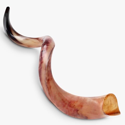HalleluYAH Original Kosher Fully-Polished Kudu Shofar From ISRAEL