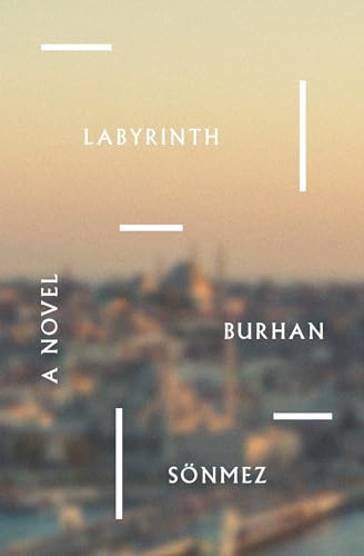 Labyrinth: A Novel view 2