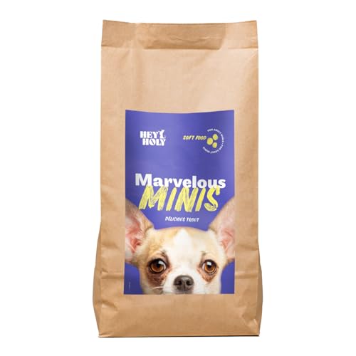 HEY HOLY Hundefutter Soft für Minis 100% getreidefrei | Softfutter | 2.5 kg weiches Trockenfutter für ausgewachsene Minis mit Forelle | Hochverträglich aus natürlichen Zutaten
