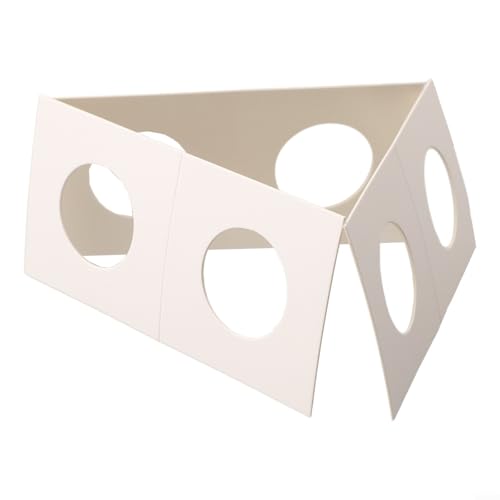 Caja de cartón para colección de monedas 20.5mm miniatura 5