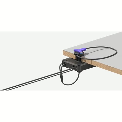 SWYTCH BYOM 952-000010 - Collegamento portatile per sistemi di videoconferenza, USB C e USB A, compatibile con sistemi  Rally, Meetup e Group, supporta Windows, MacOS, ChromeOS (nuovo - Casse per PC - Immagine 3