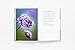 The Flower Garden: How to Grow Flowers from Seed
