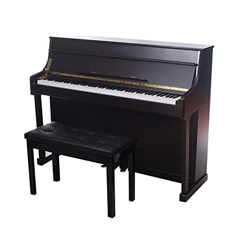 Top 10 Piano Keyboards For Adults of 2022 Katynel