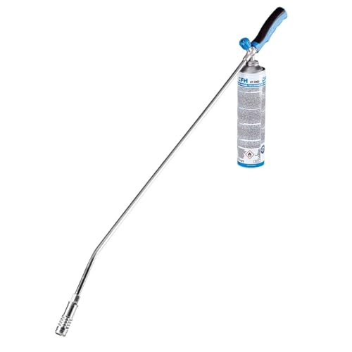 CFH Bio-Gärtner CW 3300 Abflammgerät inkl. Gasdose 600 ml – Unkrautverbrenner Gas Anwendung, 2,87 kW bei mehr als 1.100 °C Flammentemperatur, Auch als Grillanzünder geeignet
