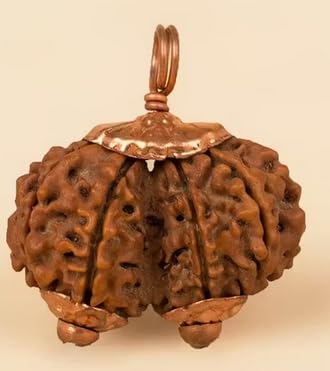 MAA Shakti GEMS Natural Shaped Gauri Shankar Rudraksha Nepali Real Holy Beads Original Certified by Lab for Astrology Purpose