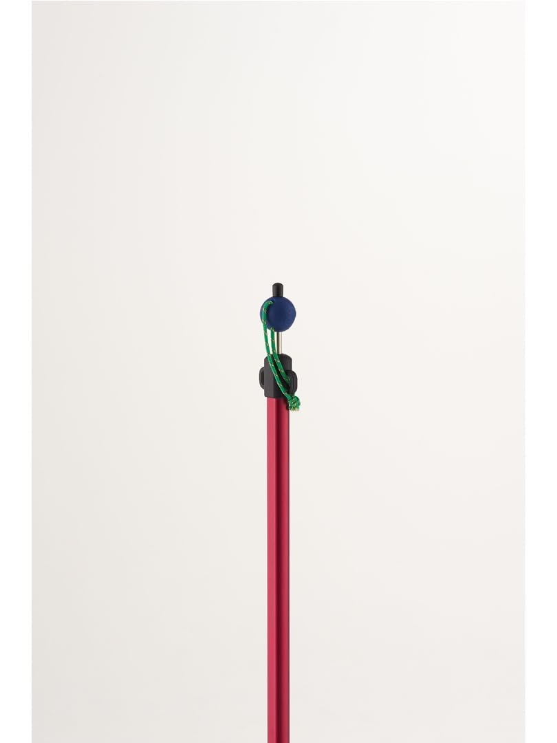 Amazon | [ロゴス] キャンプ プレミアム システムロックポール Red-250