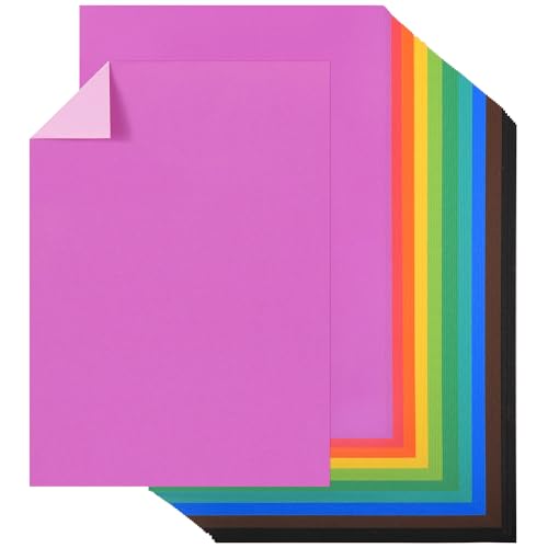 80 Feuilles A4 Carton Double Couleur, 10 Paires de Couleurs (20 Couleurs) 180gsm/65lb Teintes Similaires Avant/Arrière UAP26MX1