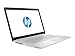 HP 17 Business Laptop - Linux Mint Cinnamon - Intel Quad-Core i5-10210U, 32GB RAM, 500GB PCIe NVMe SSD, 17.3