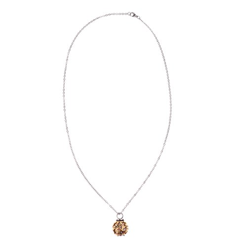 LOVIVER Conjunto de colar com pingente de urna para cães de estimação, cinzas crematórias, lembrança