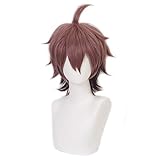 HIROAKIYA Makoto Naegi Wig, Makoto Naegi Cosplay Wig with Wig Cap for Danganronpa Cosplay