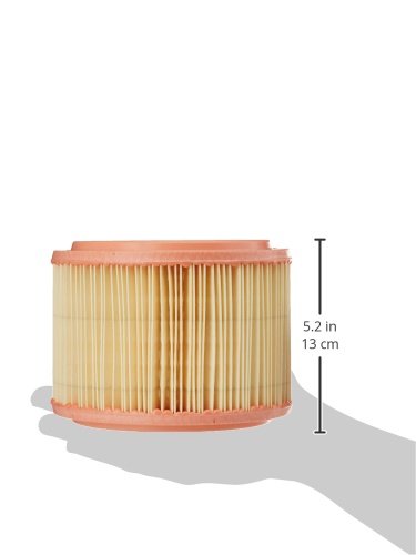 PURFLUX A1034 Filtri Aria