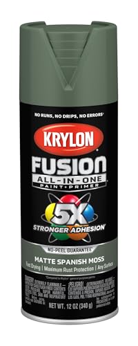 Krylon Fusion All-In-One Adhesive Spray Paint for Indoor/Outdoor Use, 12 oz, Spanish Moss