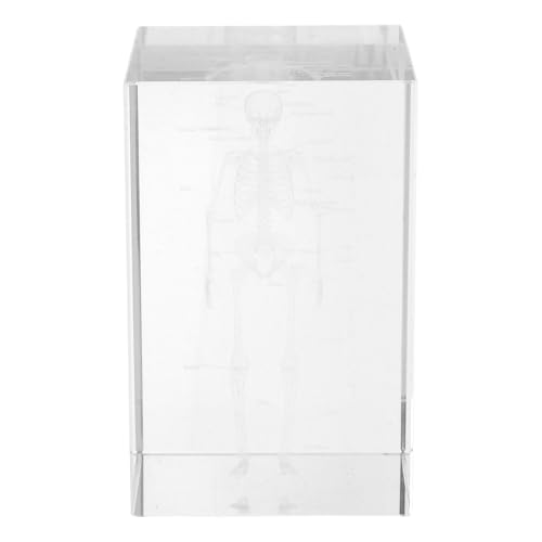 Modèle du corps humain en cristal cube 3D STOBAZA pour décoration de bureau