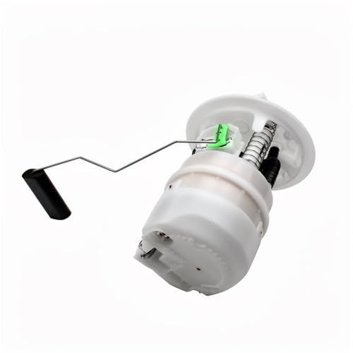 Fuel Pump Assembly 9674971380 9647083180 9673919380 705656410, Compatible For Peugeot 206/308SW/308CC/406, Citroen C4 1525XE 3F(9674971380)