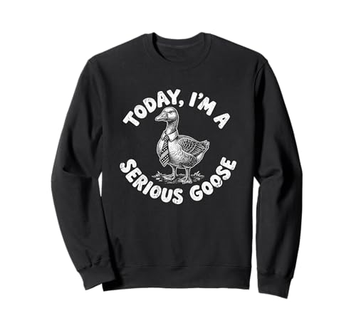 Today I'm A Serious Goose - �ʔ������t�Ŕ���ȃm�x���e�B �g���[�i�[