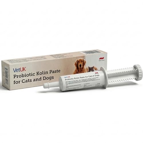 VetUK Veterinary-Grade Probiotic & Prebiotic Paste for Dogs & Cats - Fast Digestive Support - Pro Kolin Alternative - 30 ml