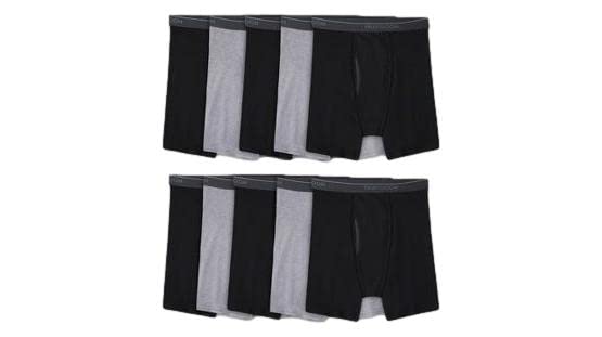 Fruit of the Loom Boxer Briefs 10 Pack (Coolzone Fly)