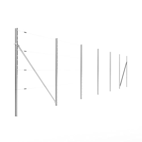 Kiwiri RANKI™ - Enrejado para plantas trepadoras, enrejado estándar de plantación para vino, kiwi, kiwi, rosas, clemátides, frutas enrejadas (6 campos (12 metros))