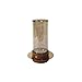 Benjara 11 Inch Glass Hurricane Candle Holder, Acacia Wood, Small, Gold and Clear
