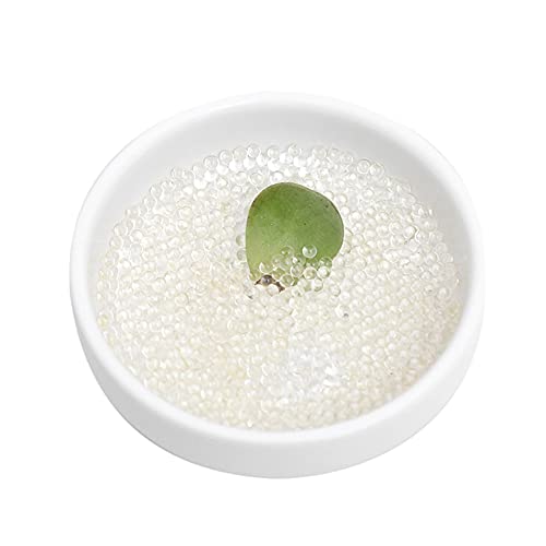 Bolas de Gel, 3000 Peças Bolas de Gel de Base de Cristal, Planta de Água, Flor, Base de Cristal, Con