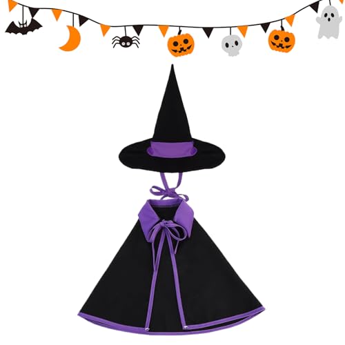 Costume de sorcière d'oie de Porche, Statue d'oie de Jardin, Statue de Ciment de Jardin, vêtements d'art pour Thanksgiving, célébrations d'automne, fêtes...