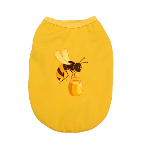 [XZVGJ] 4XL ybg  tVc Ȑ Ȃ ʋC t H _炩 Vc L  CG[ 킢 ^ ^ pW} Lm _炩 ̕ Ȃ lC  t@bV ʋC ₩