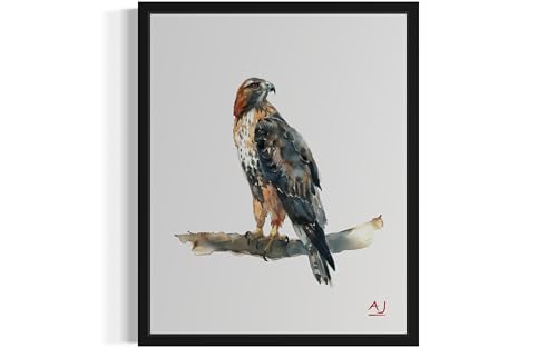 Hawk Art Print Poster, Bird Watercolor Painting, Nature Animal Wall Decor Bird Illustrations Living Room Bedroom Bathroom Decorations 55 (Hawk, 14"L x 11"W, Unframed)