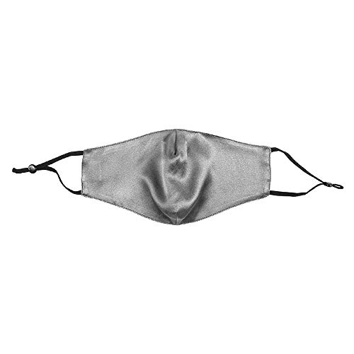 LOVINSHOW Luxury Silk Face Mask Reusable Adjustable Face Covering for Women (Grey)