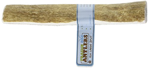 Prairie Dog Elk Antler Splits Dog Chews, Large Split