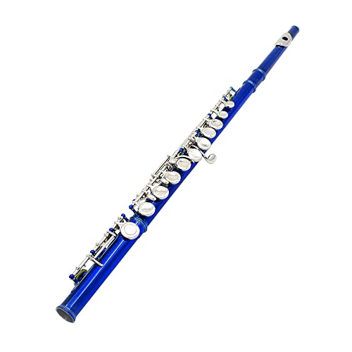 YIWEOG Flauta Travesera Cuproníquel Plateado 16 Agujeros C Clave Instrumento de Viento de Madera con Grease Cork Paño de Limpieza Guantes Palillo Mini Acolchado Caso Destornillador